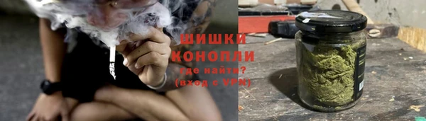 сатива Верхний Тагил